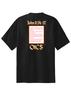 Load image into Gallery viewer, Chad OTCS Tee